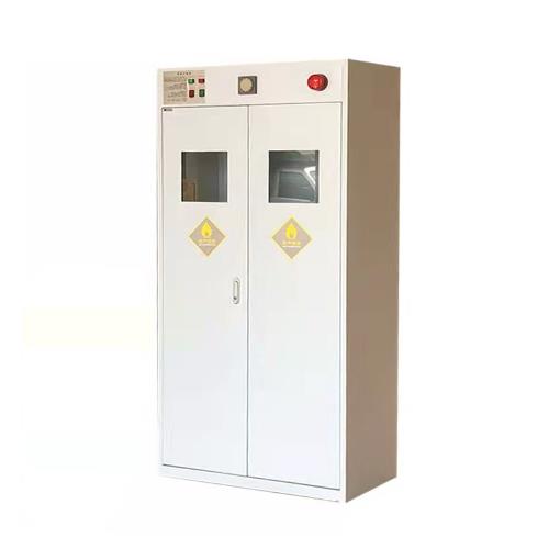 智能气瓶安全柜(2个标准40L气瓶)